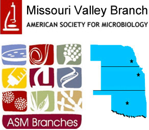 MV ASM logo